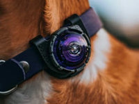 Orbiloc - Dual Dog Safety Light - Purple