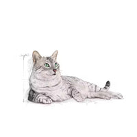 Royal Canin - Cat Indoor Appetite Control Kibble