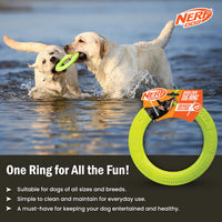 Nerf Dog - Toss & Tug Ring Dog Toy