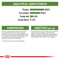 Royal Canin - Outdoor Cat +7 Kibble