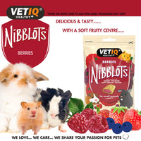 Vetiq - Berry Nibblots For Small Animals - 30g