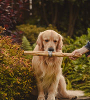 Anco - Naturals Giant Lamb Roll