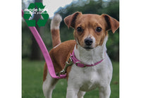 Ancol - Made From Softweave Snap Lead