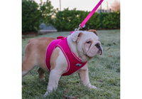 Ancol - Viva Nylon Padded Snap Lead - 1mx19mm (max 50kg)