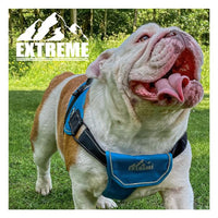 Ancol - Extreme Harness - Pink - X Large