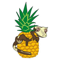 Blue River Diets - Pineapple Crush Crested Gecko Food - 60g