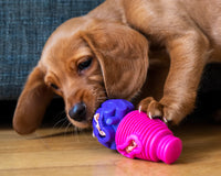 JR Pet Products - Pure Beef Pate - 400g