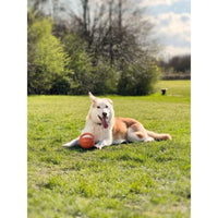 Doggi - Catch & Carry Large Ball Toy