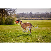 Doggi - Catch & Carry Large Ball Toy