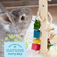 Sky Pet Products - Natural Play Dangly