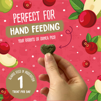 Burgess - Excel Winter Berry Bakes - 60g