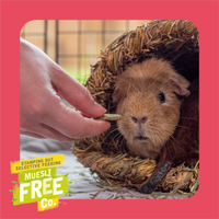 Burgess - Excel Winter Berry Bakes - 60g