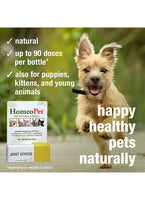 Homeopet - Joint Stress - 15ml