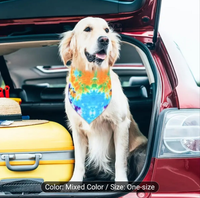 Assorted Pattern Dog Bandana - Medium  (24-26")
