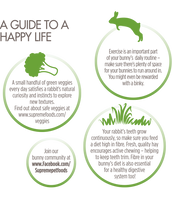 Science Selective - Supreme Junior Rabbit - 1.5kg