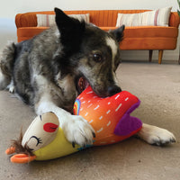 Kong - Ballistic Vibez Llama Asst - Small/Medium