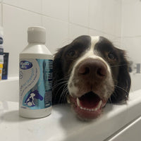 Nilaqua - Towel Off Coconut Pet Shampoo - 200ml