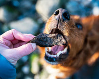 JR Pet Products - Ostrich Biltong - 60g