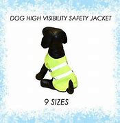 PetGear - Hi Vis Jacket, Yellow