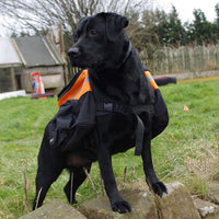 Pet Brands - Rac Dog Walking Back Pack