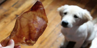 Pig Ear - per ear
