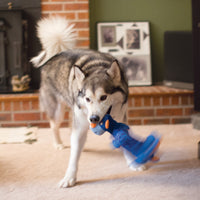 Kong - Shakers Dragon - Medium/ Large