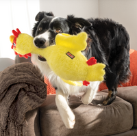 Kong - Scruffs Chicken - Med/Lrg
