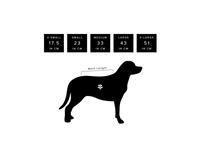 Sotnos - Colour Block Grey & Yellow Jumper