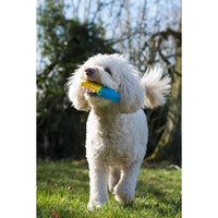 Rosewood - Chillax Cool Soak Shark Dog Toy