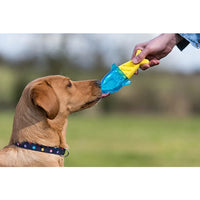 Rosewood - Chillax Cool Soak Shark Dog Toy