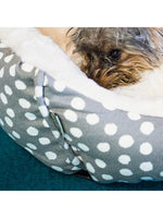 Dream Paws - Scalloped Pet Bed - Small