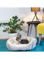 Dream Paws - Scalloped Pet Bed - Small