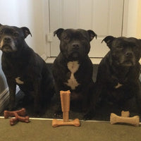 Bamboodles - Puppy X Bone