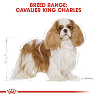 Royal Canin - Adult King Charles Dog Food - 1.5kg