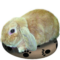 Snugglesafe - Microwavable Heatpad With Cozy Cover - 22cm (8.5")