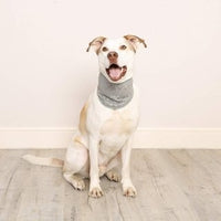 Cooler - Pet Cooling Bandana - Large/XLarge