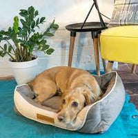 Hound - Vintage Style Comfort Bed - Medium