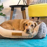 Hound - Vintage Style Comfort Bed - Medium