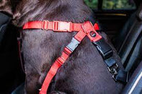 Mikki - Car Harness - Extra large