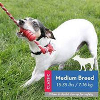 KONG - Dental Kong + Rope - Medium