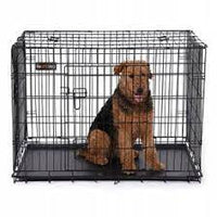 RAC - Fold Flat Metal Crate With Plastic Tray - Black - Large (91 x 62 x 56cm)