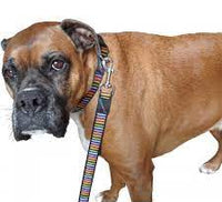 Hem & Boo - Pink Stripes Collar