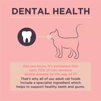 Burgess - Supa Adult Dry Cat Food - Scottish Salmon -1.5kg