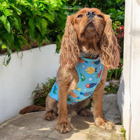 Animate - Cooling Vest Fruits - Medium