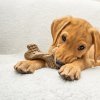 Bamboodles - Puppy X Bone