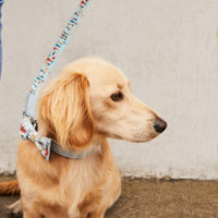 Cath Kidston - London People Leather/fabric Printed Pet Collar - Small