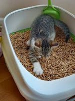 Trust Pet - Wood Pellet Cat Litter - 15L