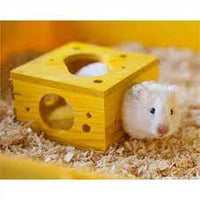 Rosewood - Boredom Breaker Sleep N Play Cheese