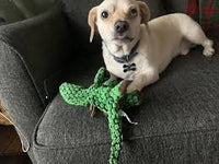 KONG - Dynos Stegosaurus - Green - Small