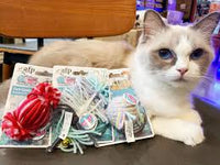 All For Paws - Knotty Habit Yarn - Candy